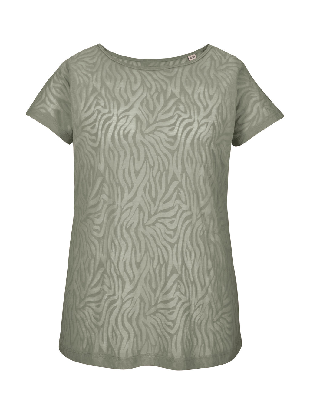 seagrass