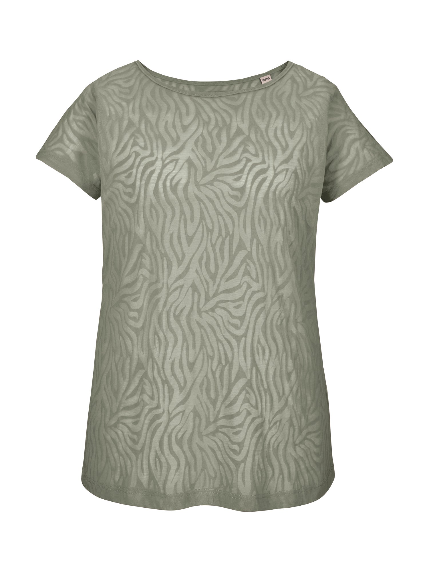 seagrass